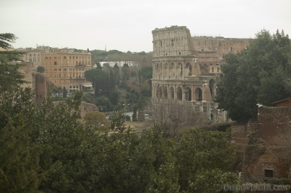 View of the Colosseum from the Palatine hill View of the Colosseum from the Palatine hill