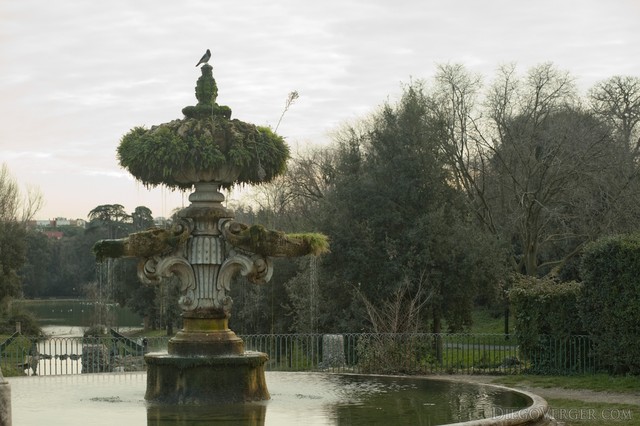 Fuente de la flor de lis en Villa Doria Pamphili