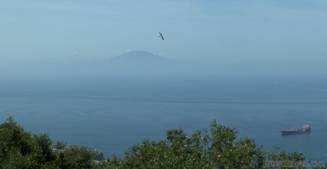 Africa seen from Gibraltar Africa seen from Gibraltar