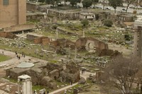 Temple of Caesar and basilica Emilia, Rome, Italy