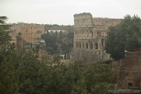 Colosseum from the Palatine Colosseum from the Palatine - Thumbnail