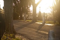 Bustos del monte Pincio Villa Borghese, Roma, Italia