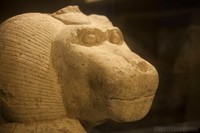 Escultura de babuino en el Museo Egipcio de Barcelona, España