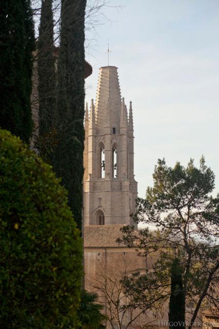 Bell tower of the Sant Feliu basilica between trees - Girona, Spain