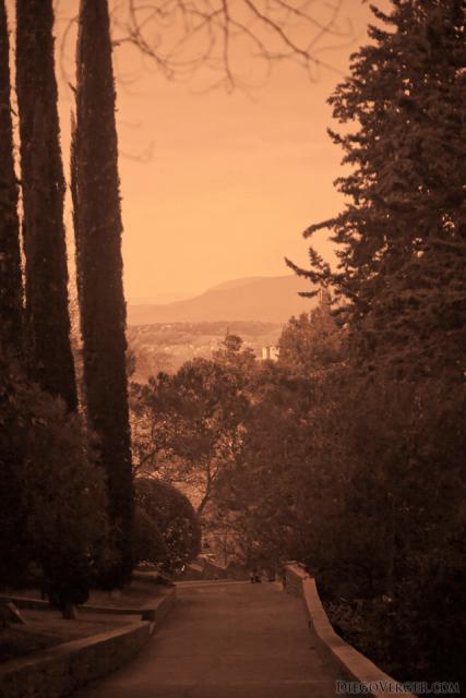 Allée bordée d'arbres dans la promenade archéologique de Gérone - Gérone, Espagne