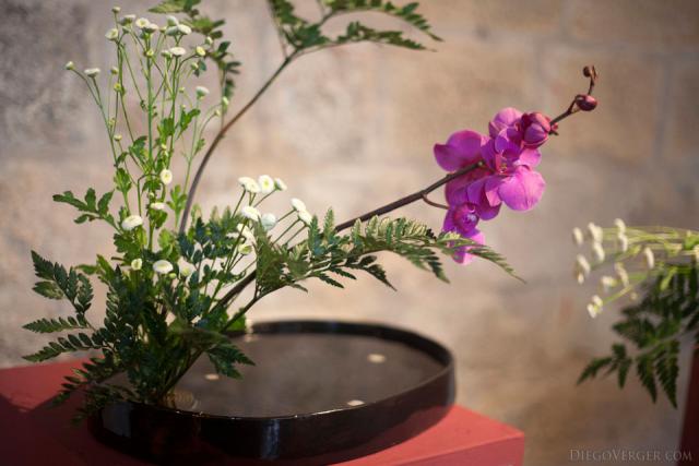 Ikebana 生花 - L'art d'arrangement floral japonais - Gérone, Espagne
