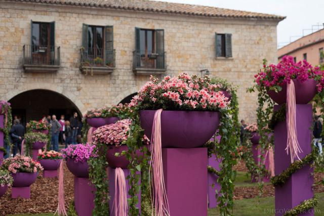 Jurats square during the Temps de Flors flower festival - Girona, Spain