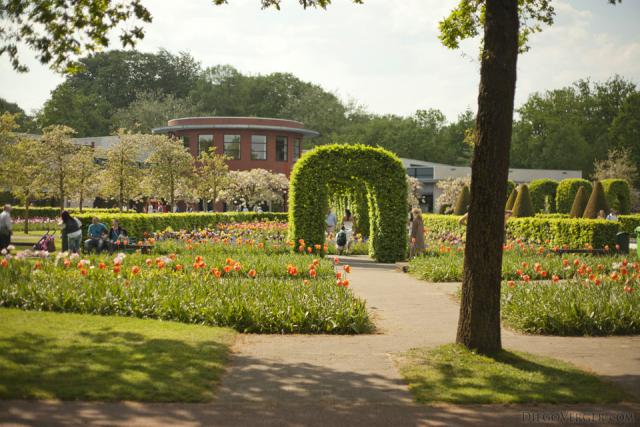 Tulips and ornamental bush arches in front of the Oranje Nassau pavilion - Lisse, Netherlands