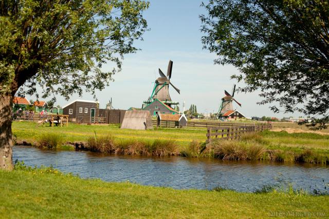 Un paysage de Zaanse Schans • De Kat et De Zoeker - Zaandam, Pays-Bas