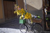 Bicicletta di un negozio nelle strade di Firenze - Firenze, Italia