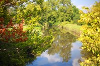 Un des étangs de l'Arboretum de Morton - Lisle, États Unis