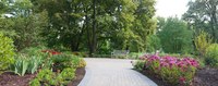 Panoramic view of the Fragrance Garden - Thumbnail