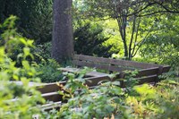 Bancs immergés dans la nature de l'arboretum en été - Lisle, États Unis