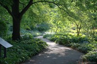 Le Jardin de Couverture Végétale dans l'Arboretum de Morton - Lisle, États Unis