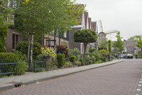 Home gardens and the Vriendschap windmill - Weesp, Netherlands