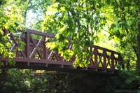 Un ponte tra alberi sopra il fiume DuPage - Naperville, Stati Uniti