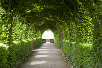 Passage couvert d'arcades végétales entre les jardins de Muiderslot - Muiden, Pays-Bas