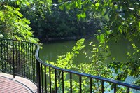 Terrace next to the lake - Naperville, United States