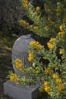 Ornamental remains among wild vegetation in the Ancient Agora - Athens, Greece