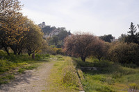 Path in the Ancient Agora - Athens, Greece