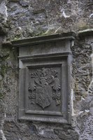 A medieval coat of arms - Cashel, Ireland