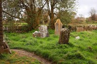 Cimitero dell'abbazia di Hore - Cashel, Irlanda