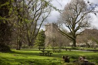 Castle and Arboretum - Blarney, Ireland