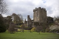 thumbnail Castello di Blarney in Irlanda