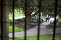 Le jardin empoisonné du Château de Blarney - Blarney, Irlande