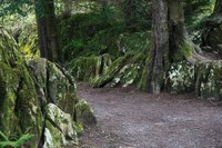 Rock Close du Château de Blarney - Blarney, Irlande