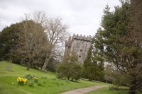 Muro sud del Castello di Blarney - Blarney, Irlanda