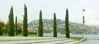 Cypresses surrounding the Monument to the Fallen - Thumbnail