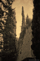 Girona wall framed by trees - Girona, Spain