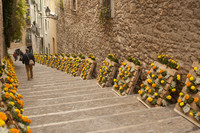 Pujada de la Catedral bordeada por trabajos florales en Temps de Flors Pujada de la Catedral bordeada por trabajos florales en Temps de Flors - Thumbnail