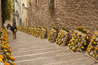 Pujada de la Catedral street bordered by floral works during Temps de Flors - Girona, Spain