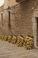 Pujada de la Catedral during Temps de Flors - Girona, Spain