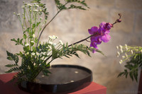 Ikebana 生花 - L’arte giapponese di composizione floreale - Thumbnail