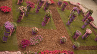 Vista panorámica del trabajo floral de pilares en la plaza dels Jurats Vista panorámica del trabajo floral de pilares en la plaza dels Jurats