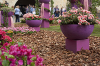 Détail d'arrangements floraux dans la place des Jurats - Gérone, Espagne