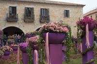 Piazza Jurats durante il festival di fiori Temps de Flors - Thumbnail