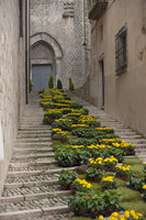 Escaleras de la puerta norte de la basílica de Sant Feliu durante Temps de Flors - Girona, España