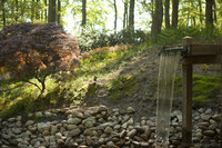 Jardín Natural - Lisse, Países Bajos