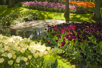 Estanque bordeado de macizos de flores junto al pabellón de la Reina Juliana - Lisse, Países Bajos