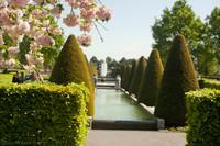 Flores de cerezo, estanques y árboles ornamentales en el área del Oranje Nassau - Lisse, Países Bajos