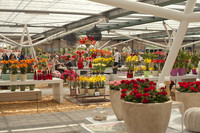 Il padiglione Willem-Alexander di Keukenhof - Lisse, Paesi Bassi