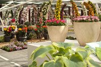 Arcades et pots de fleurs au pavillon Willem-Alexander - Lisse, Pays-Bas