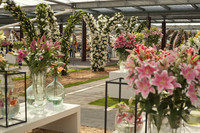 Il padiglione Willem-Alexander a Keukenhof - Lisse, Paesi Bassi