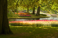 Flowerbeds on both sides of a water stream in Keukenhof - Thumbnail
