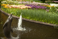 Tulips along the banks of a canal at Keukenhof - Lisse, Netherlands