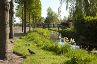 Canals and access bridges to some buildings in Zaanse Schans - Zaandam, Netherlands